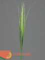 Исолепсис,трава